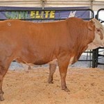 fwa2013729161522.jpg