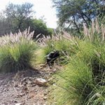 fwa201379143526.jpg