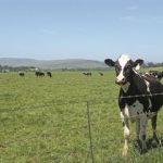 dairy potential KZN.jpg