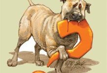 How ‘predator-friendly’ are Anatolian guard dogs?
