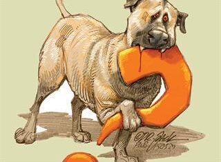 How ‘predator-friendly’ are Anatolian guard dogs?