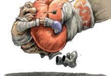 Land reform – let’s stay out of the boxing ring