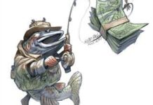 Sustaining the SA trout industry