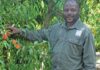 From gardener to top provincial farm worker
