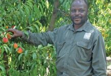 From gardener to top provincial farm worker