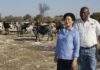 The Mooketsis’ fast rise to commercial success
