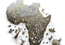 Why conserving Africa’s biodiversity is so crucial Why conserving Africa’s biodiversity is so crucial