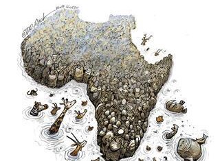 Why conserving Africa’s biodiversity is so crucial Why conserving Africa’s biodiversity is so crucial