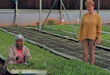 Erika-Oberholzer-tunnel-microgreens