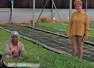 Erika-Oberholzer-tunnel-microgreens
