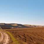 land reform