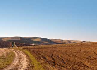 Poor beneficiary selection hampers land reform – Agri SA land reform