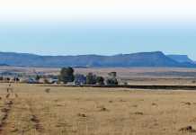 Farmers to march on the Union Buildings farm land