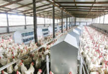 Possible threat to AGOA