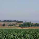 farm-land