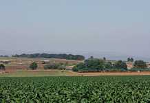 Evaluating your farming business’s economic viability farm-land