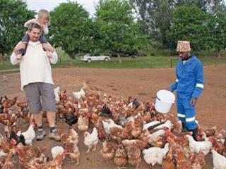Protein for poultry, and it’s free grub too Protein for poultry, and it’s free grub too