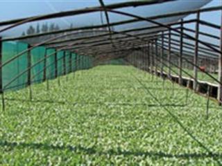 pH: the secret to unlocking soil’s nutrients pH: the secret to unlocking soil’s nutrients