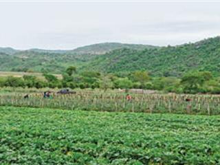 Farmers reap benefits of empowerment programme Farmers reap benefits of empowerment programme