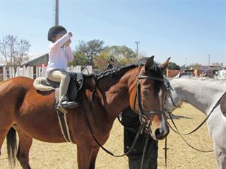 Horses for kids Horses for kids