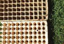 Square versus round plugs