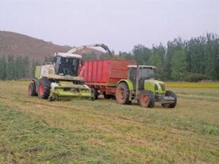 Reduce costs with contract harvesters Reduce costs with contract harvesters