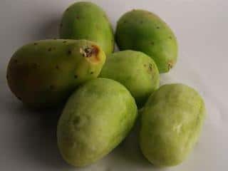 Commercial potential for the humble cactus pear Commercial potential for the humble cactus pear