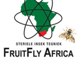 Winter management of fruit flies in town Winter management of fruit flies in town