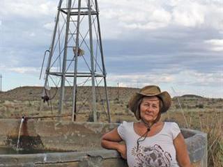 Top female farmer’s Dorper success in the Karoo Top female farmer’s Dorper success in the Karoo