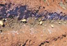 Starting off with potatoes