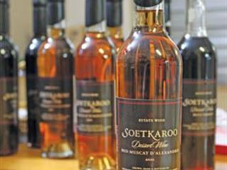 Karoo small-scale wine producer excels Karoo small-scale wine producer excels