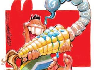 Food safety compromised by lack of glyphosate tests Food safety compromised by lack of glyphosate tests