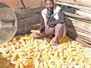 Conservation farming on communal land Conservation farming on communal land