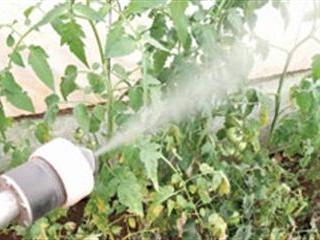 Why we need integrated pest management Why we need integrated pest management
