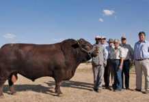 Huntersvlei & Pothou Sale