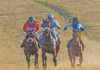 A day at the races… in the former Transkei