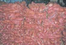 Taking your sweet potatoes through to maturity