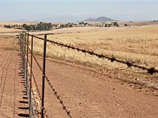 Growing diversity in the Swartland Growing diversity in the Swartland