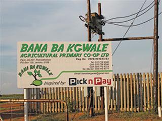 Bana ba Kgwale vegetable project assists community Bana ba Kgwale vegetable project assists community