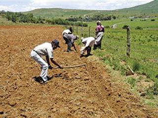 What you need to know as a farmer What you need to know as a farmer