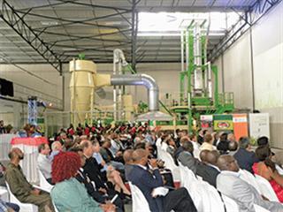 Maize micro mills stake their claim Maize micro mills stake their claim