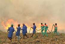 12 ways to protect the land