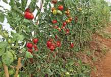 Things to think about when going under cover