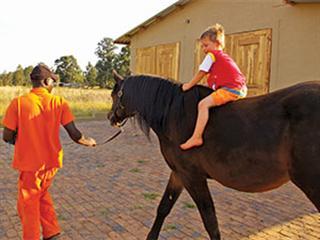Exercising a horse Exercising a horse