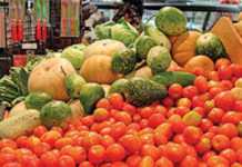 Bacterial diseases in tomatoes