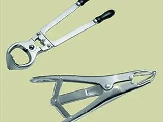 Castrating your beef calves – part 2