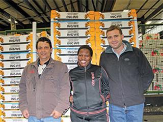 Success for BEE market agent Success for BEE market agent