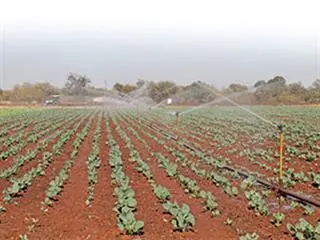 Community opts for a sustainable livelihood