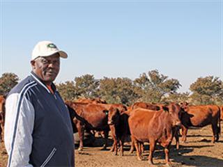 From Cabinet to courtroom to cattle From Cabinet to courtroom to cattle