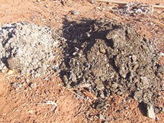 Preparing your soil – part 1 Preparing your soil – part 1